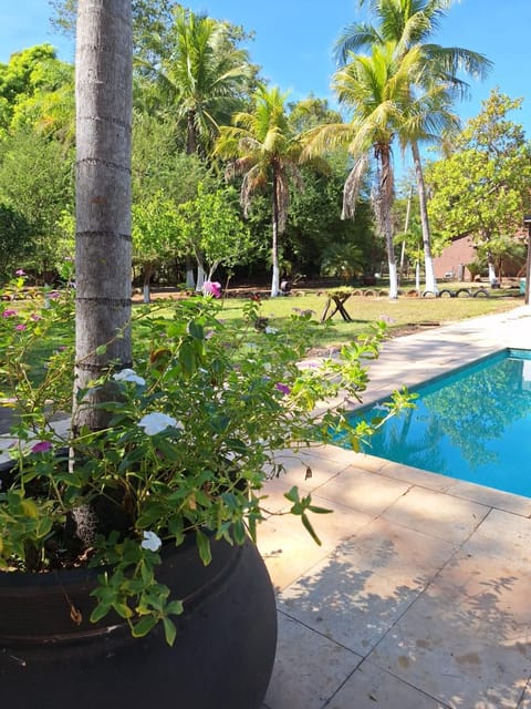 Garden, Pool view, Swimming pool