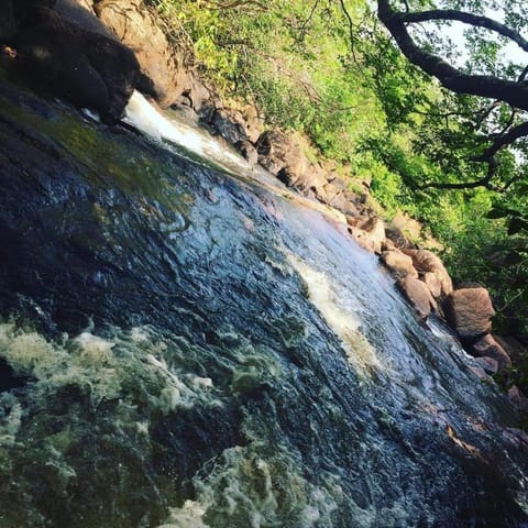 Natural landscape, River view