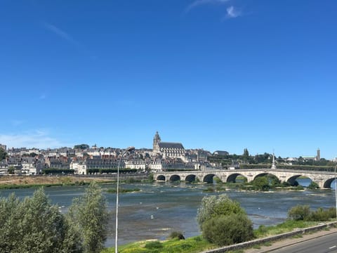 Nearby landmark, Natural landscape, City view, River view