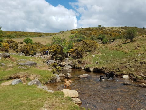 Nearby landmark, Natural landscape