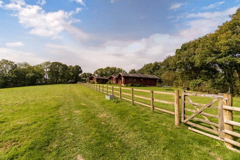 Day, Natural landscape, Garden, Garden view