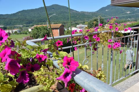 Day, Garden, Balcony/Terrace, Garden view