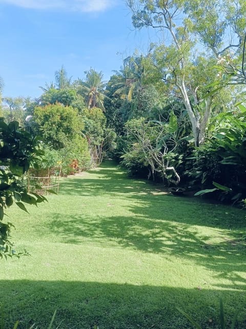 Natural landscape, Garden, Garden view