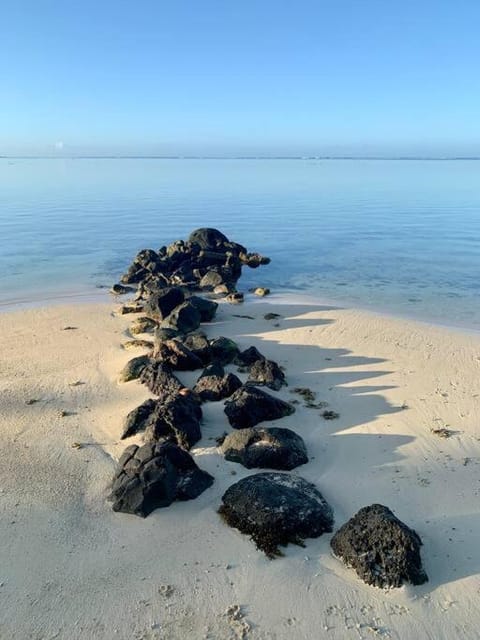 Villa Nuupure - Plage de sable privée Villa in Moorea-Maiao