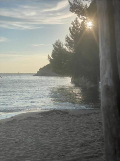 Beach, Sea view