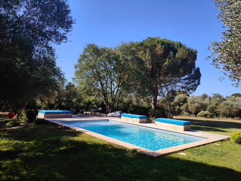 Garden, Garden view, Pool view, Swimming pool, sunbed