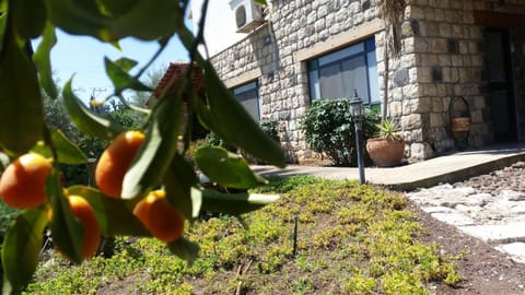 Spring, Day, Garden, On site, Garden view, Garden view