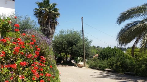 Garden, Garden view