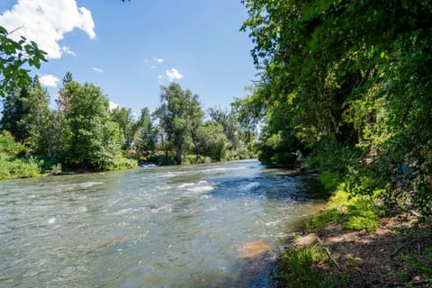 River view