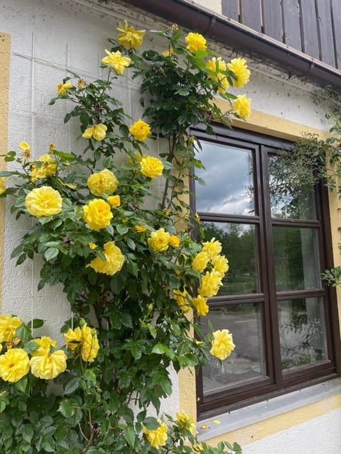 Ca'Leone Zimmer Hotel in Bad Tölz