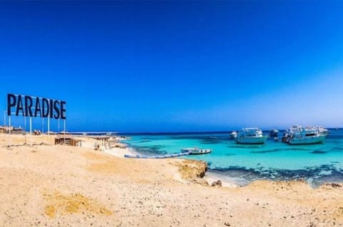 Private boat rental Docked boat in Hurghada