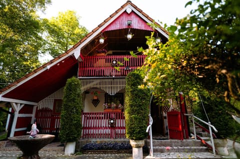 Cabana La Ionica Bed and Breakfast in Timiș County