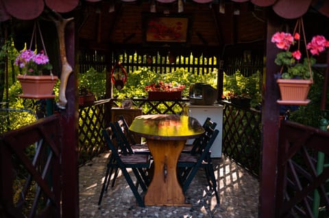 Cabana La Ionica Bed and Breakfast in Timiș County