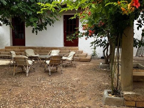 Traditional country house VILLA Apartment in La Mancha