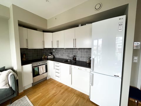 Kitchen or kitchenette, dishwasher, oven, stove, toaster