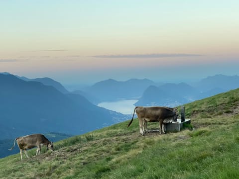 Agriturismo Alpe Rompiago Farm Stay in Lugano