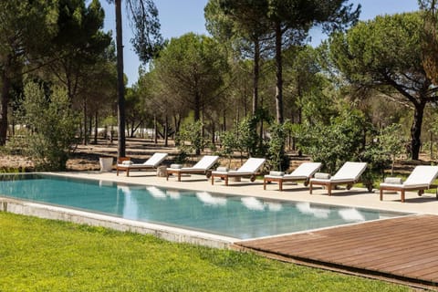 The Pine Tree Comporta Villa Villa in Setubal District