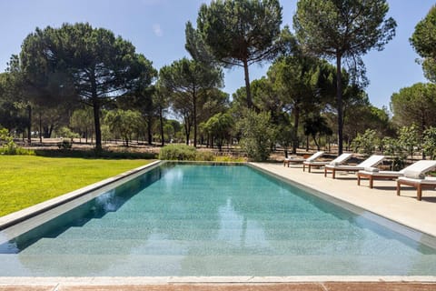 The Pine Tree Comporta Villa Villa in Setubal District