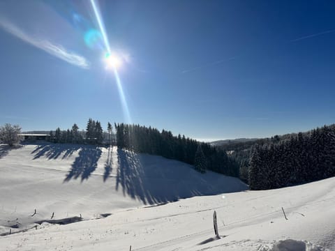 Natural landscape, Winter, Mountain view