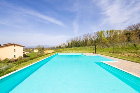 Natural landscape, Garden, Swimming pool