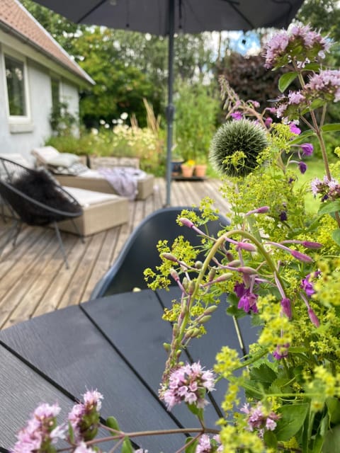 Garden, Living room