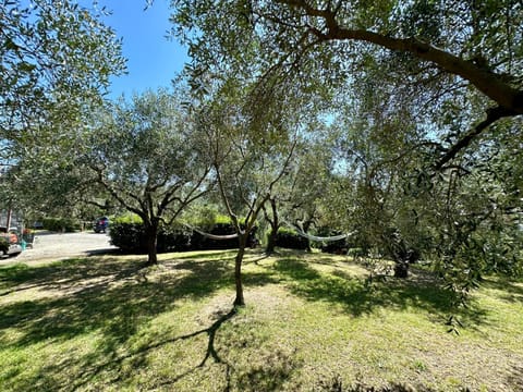 Spring, Day, Natural landscape, Garden, Garden view