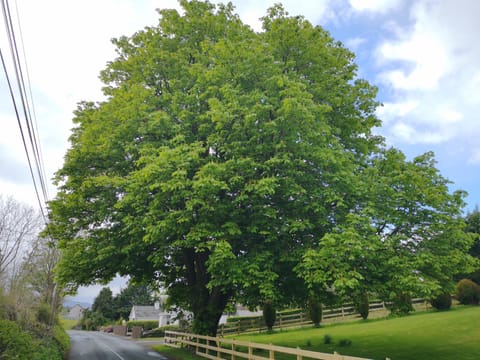 Neighbourhood, Natural landscape