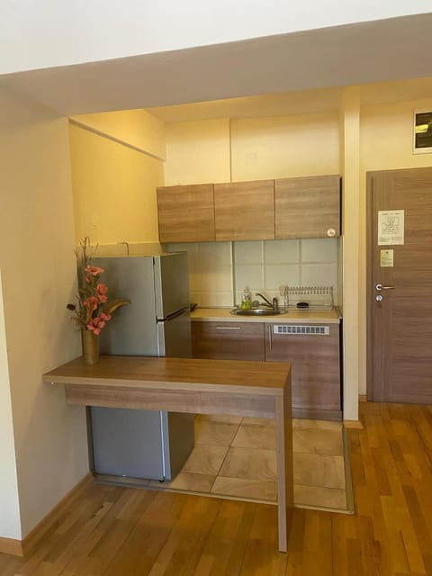 Golden beach luxury apartment Apartment in Ohrid