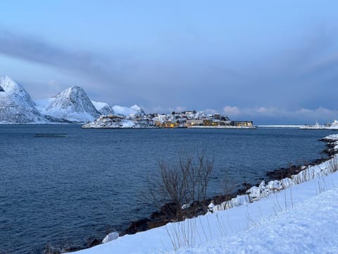 Cozy house by the sea House in Nordland, Norway