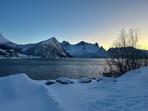 Cozy house by the sea House in Nordland, Norway