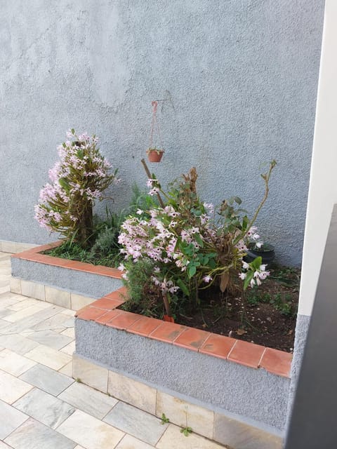 Garden, Garden view