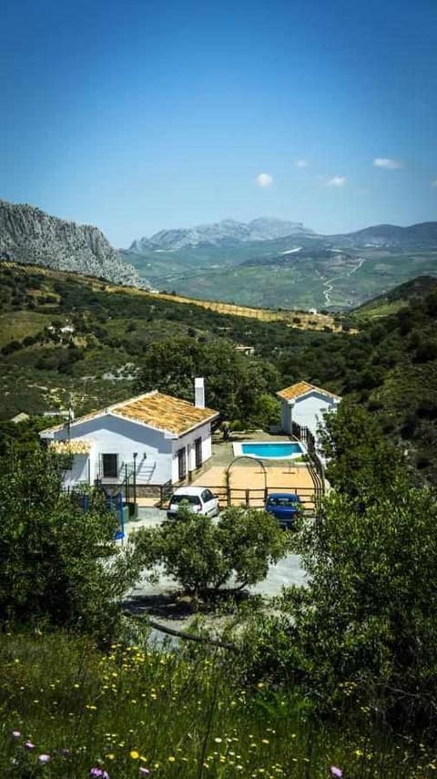 Day, Natural landscape, Mountain view, Pool view, Swimming pool