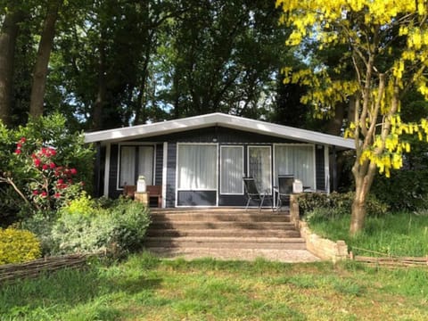 Property building, Day, Garden, Garden view