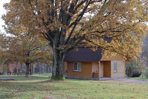 Facade/entrance, Autumn