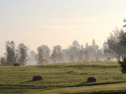 Natural landscape, Sunrise