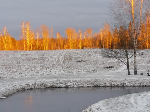 Natural landscape, Winter