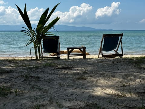 Natural landscape, Beach, Sea view, sunbed