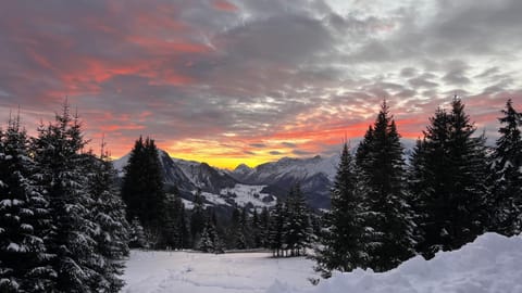 Magnifique ferme ancienne datant de 1877 Chalet in La Clusaz