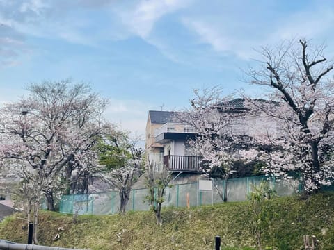 Spring, Natural landscape, View (from property/room)