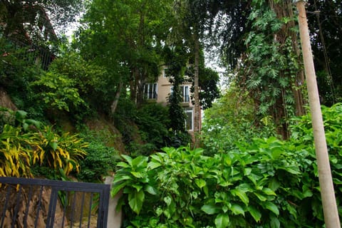 Property building, Natural landscape, Garden, Garden view