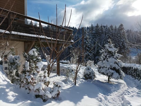 Day, Natural landscape, Winter, Mountain view