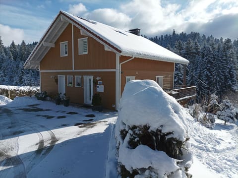 Property building, Natural landscape, Winter, Mountain view