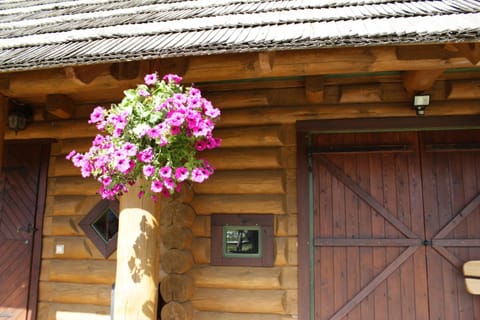 Šnekučių kaimas Apartment in Vilnius County, Lithuania