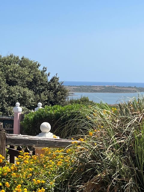 Spring, Natural landscape, Lake view, Sea view