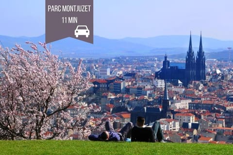 Le Cocon - Wifi - Calme Apartment in Clermont-Ferrand