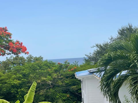 Natural landscape, Sea view