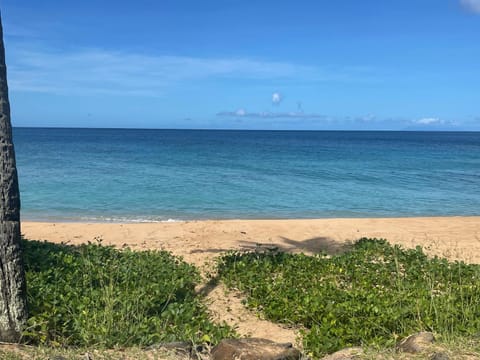 Day, Natural landscape, Beach, Sea view