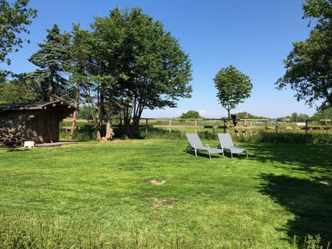 Garden, Garden view, sunbed