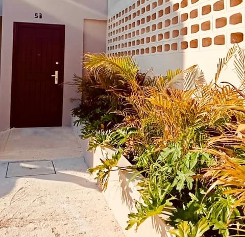 Mar y Chelo Luxury Aparments Apartment in Isla Mujeres