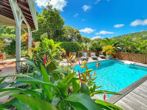 Garden, Garden view, Pool view, Swimming pool, sunbed